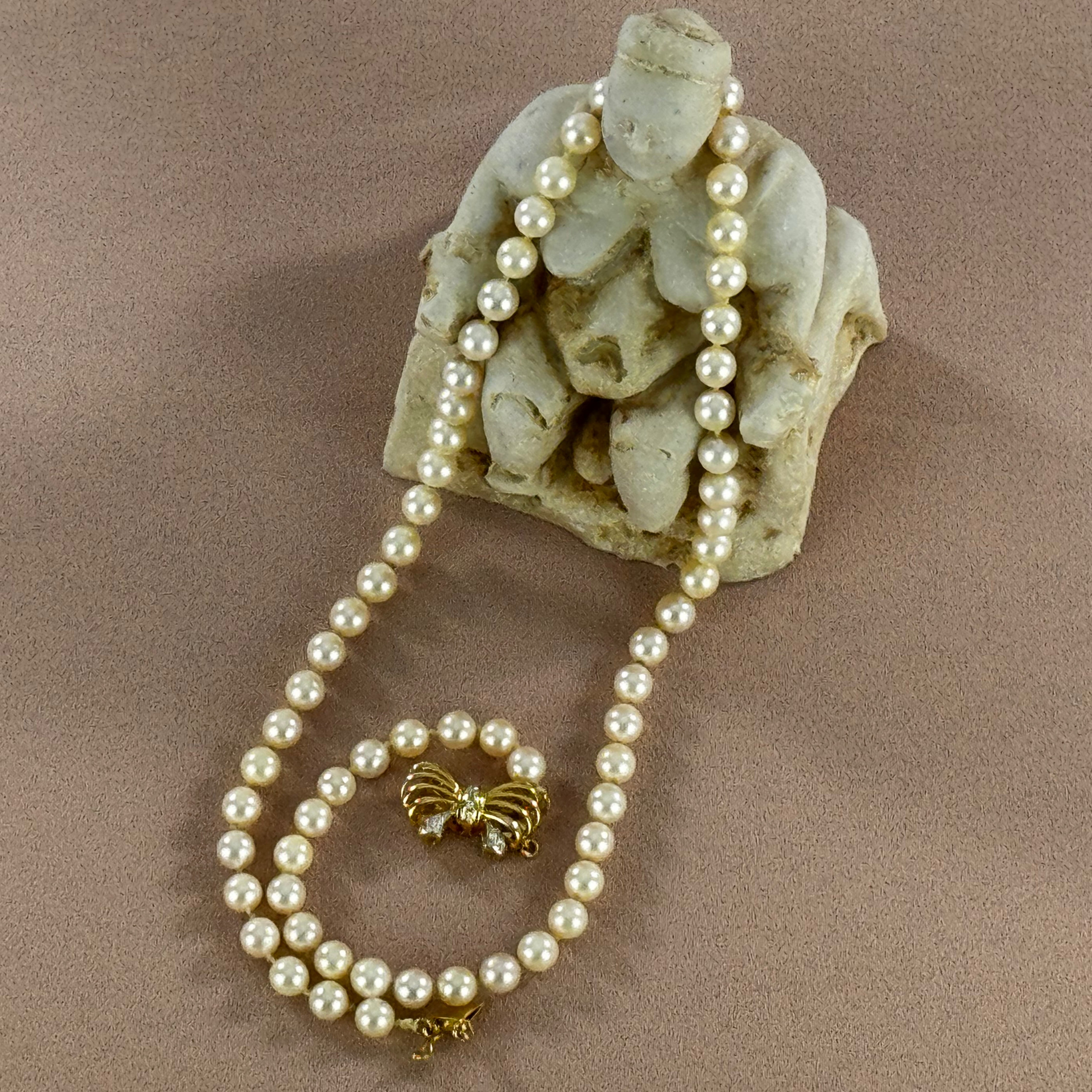 Lemurian Astrological Bracelet fossil